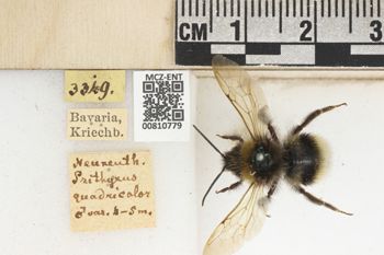 Media type: image;   Entomology 810779 Aspect: labels